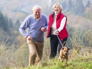 Pets and Older People Image