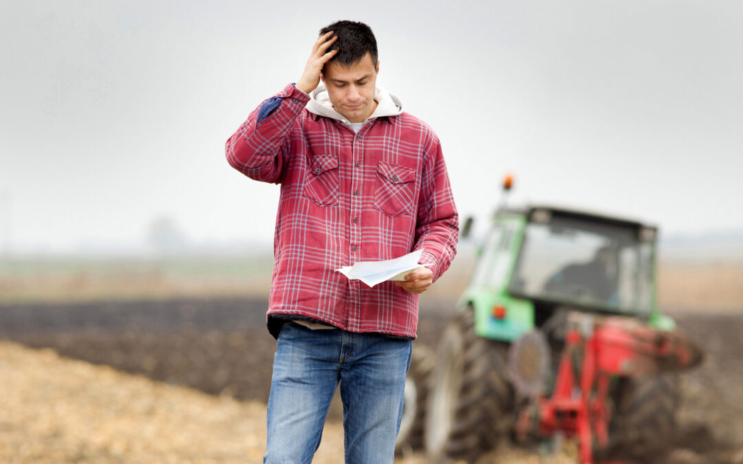 Environmental Land Management 101: an introductory guide to changes in farm payments
