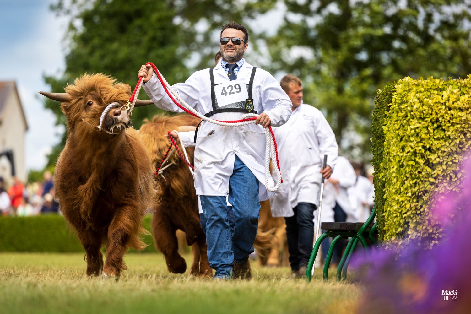 Great Yorkshire Show 2022 1474