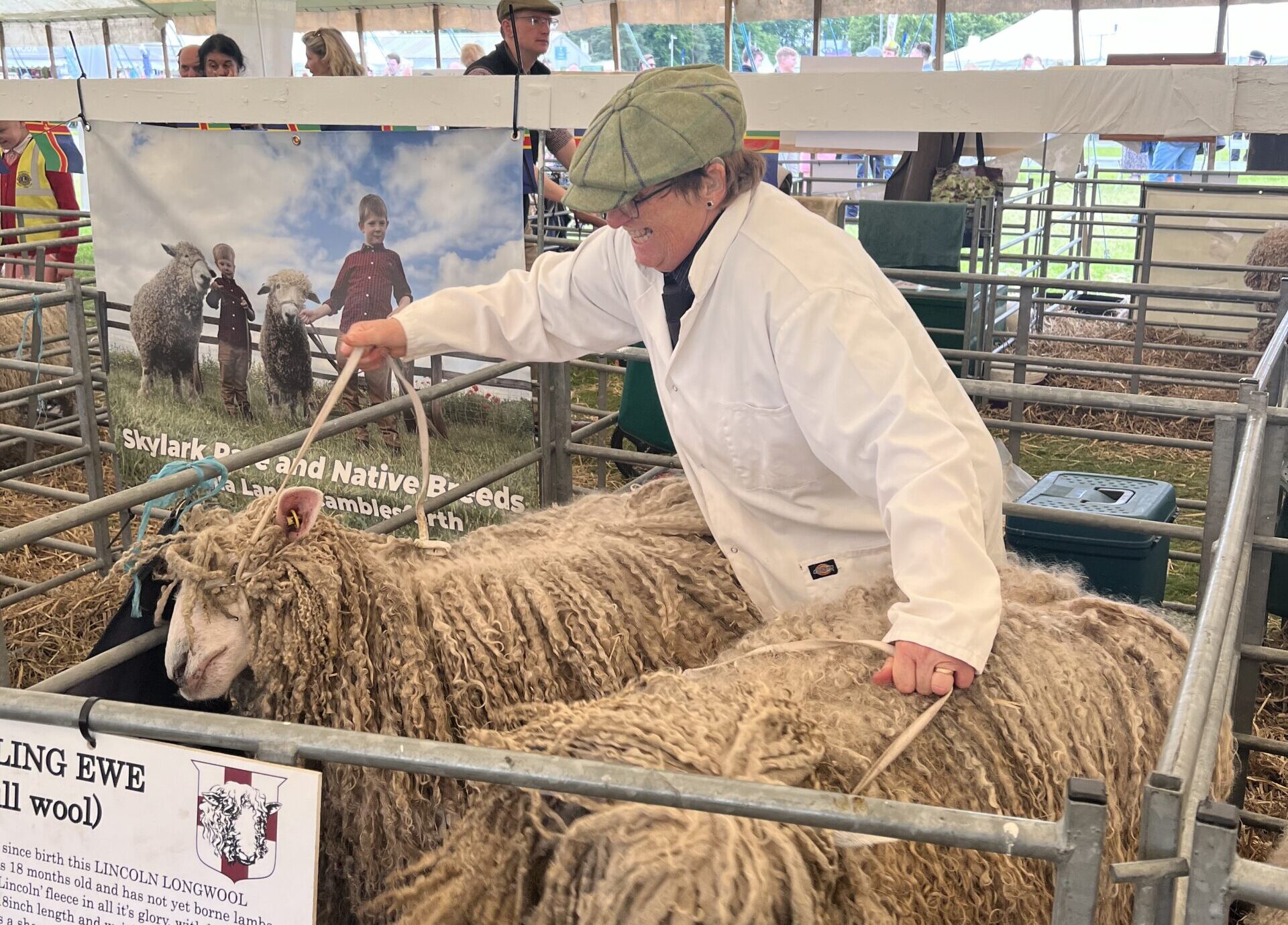 Lincolnshire Show (2)