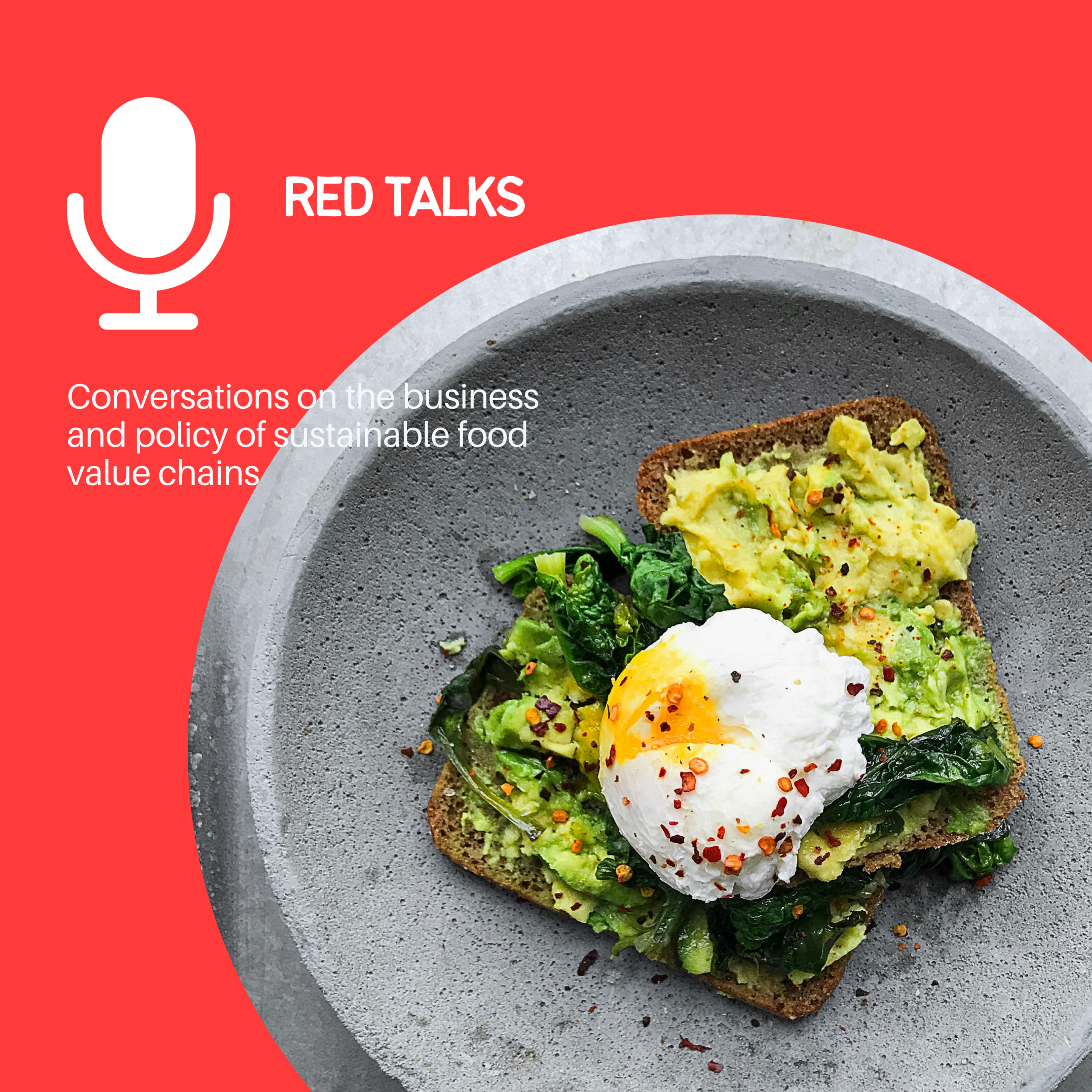 RED Talk Audio Covers scaled